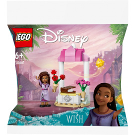 LEGO Disney Princess 30661 Ashin uvítací stánek